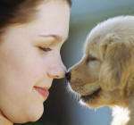My Pet Haven Dot Com